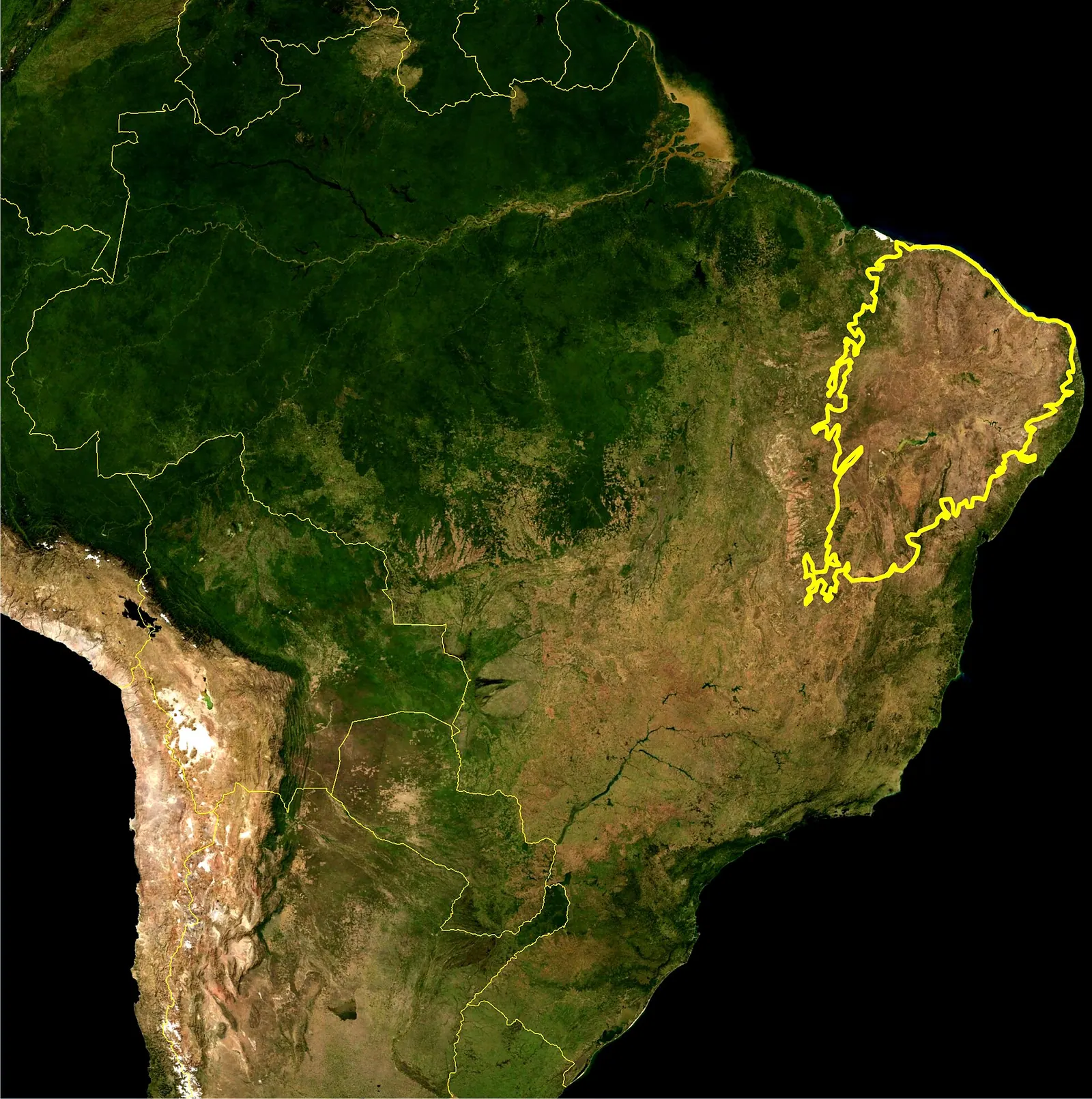 Tipping in Brazil: What Actually Happens at the Table